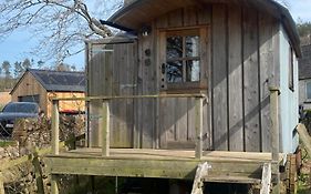 Granny'S Hut